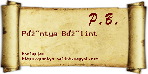 Pántya Bálint névjegykártya